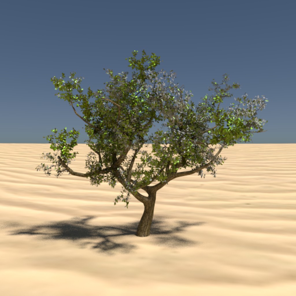 Eugenia Tree preview image 1
